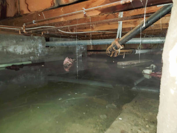 Local water damage restoration in PA